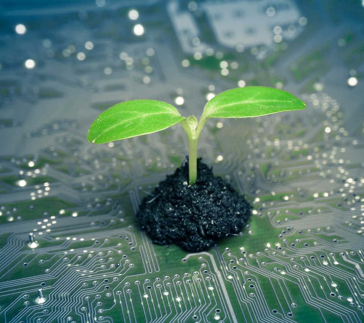 Green IT, @iStock.com/weerapatkiatdumrong Platine mit Pflanze