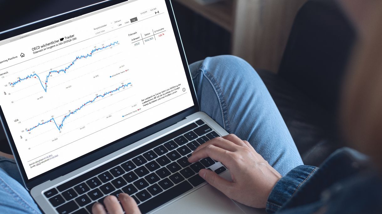 Ein Laptop auf dem die Reporting Plattform geöffnet ist