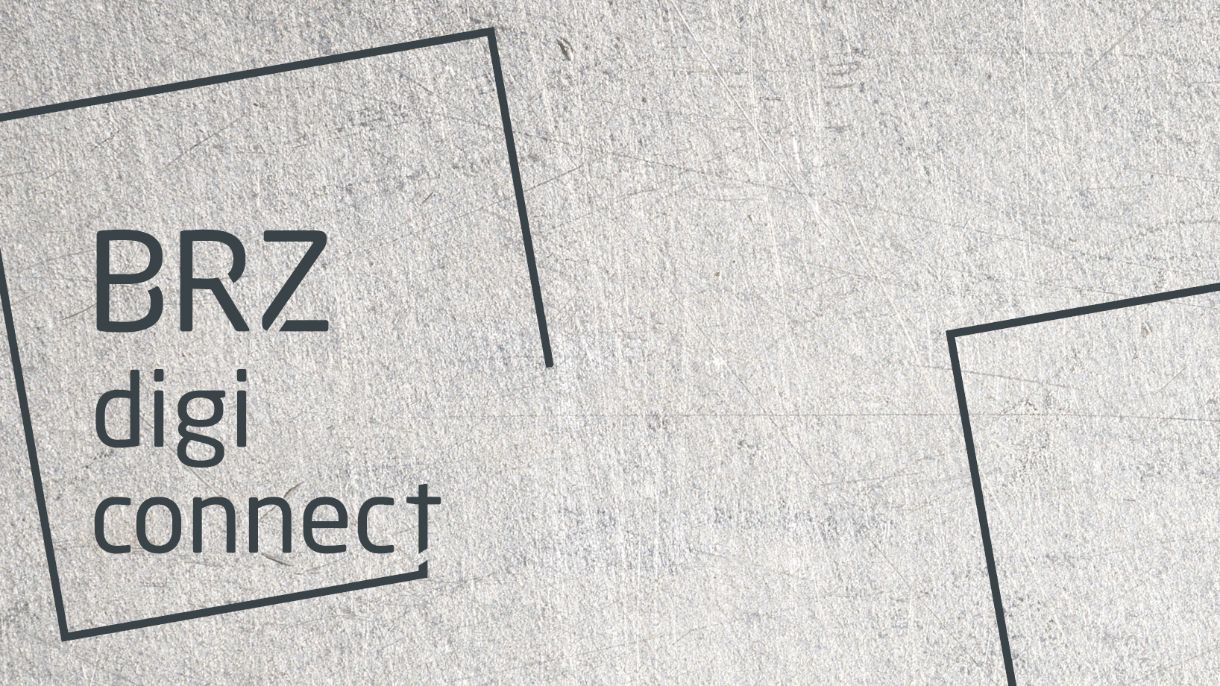 BRZ DigiConnect Logo