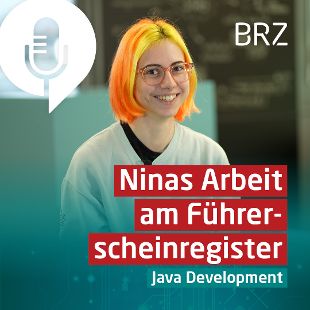 Episode 4: Java Developer