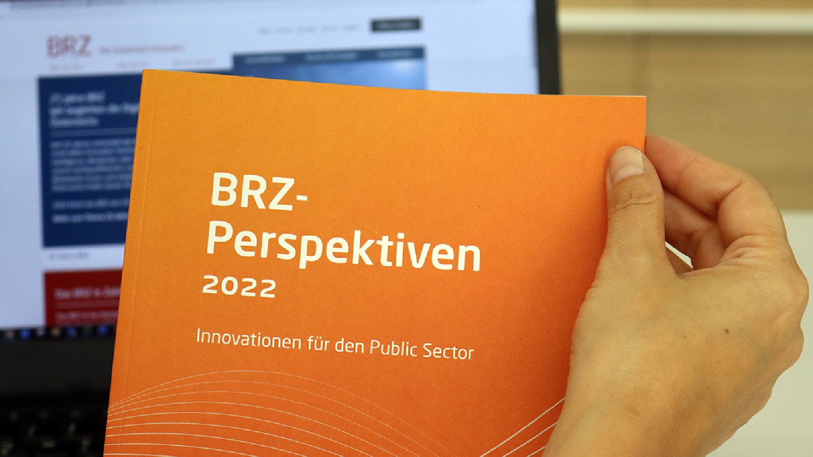 BRZ Perspektiven 2022