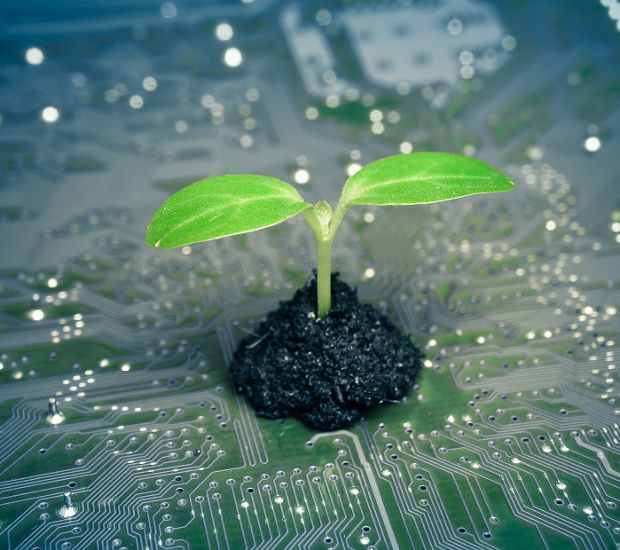 Nachhaltigkeit read_it, @iStock.com/wearepatkiatdumrong Nachhaltigkeit read_it